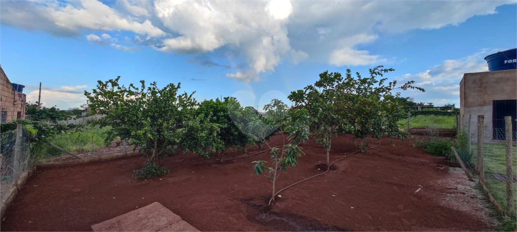 Venda Chácara Uberlândia Panorama REO797681 20