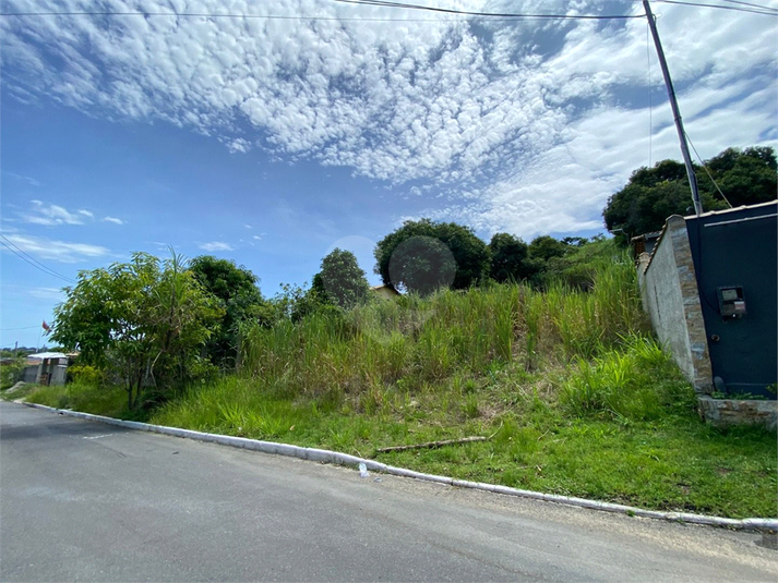 Foto REO797801