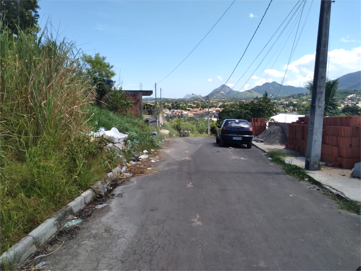Foto REO797815