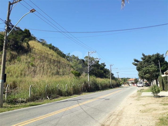 Foto REO797972