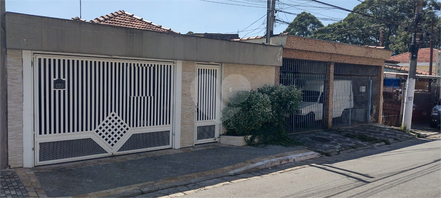 Foto REO798416