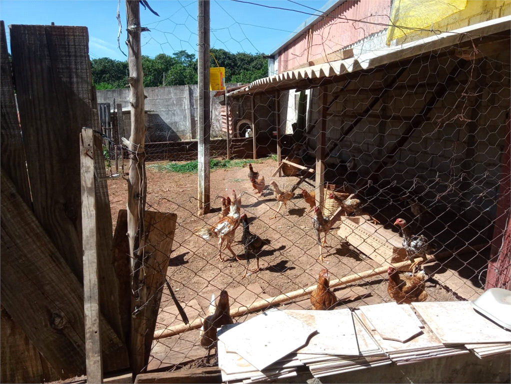 Venda Chácara São João Da Boa Vista Solário Da Mantiqueira REO798421 35