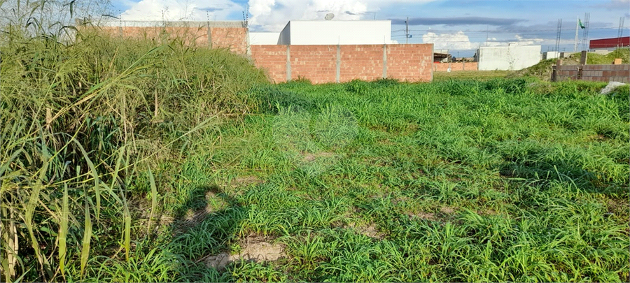 Foto REO798500
