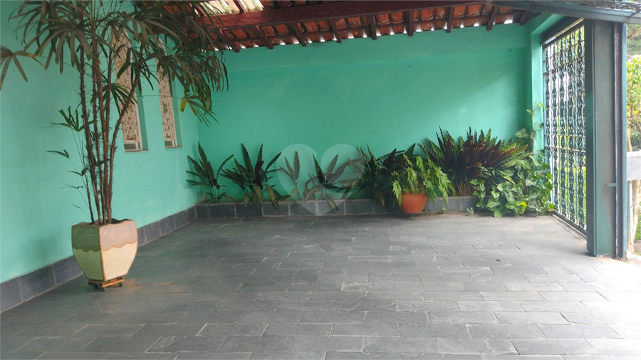 Foto REO798637