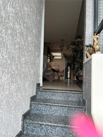 Foto REO798647