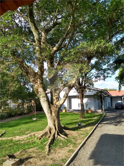 Foto REO798711