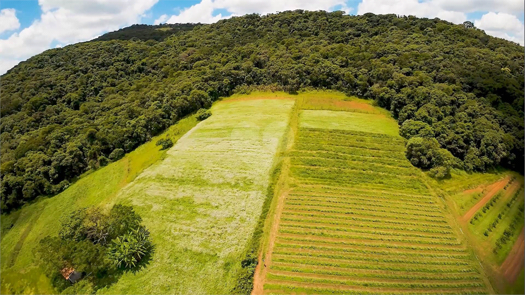 Venda Terreno São Roque Gabriel Piza REO798913 9