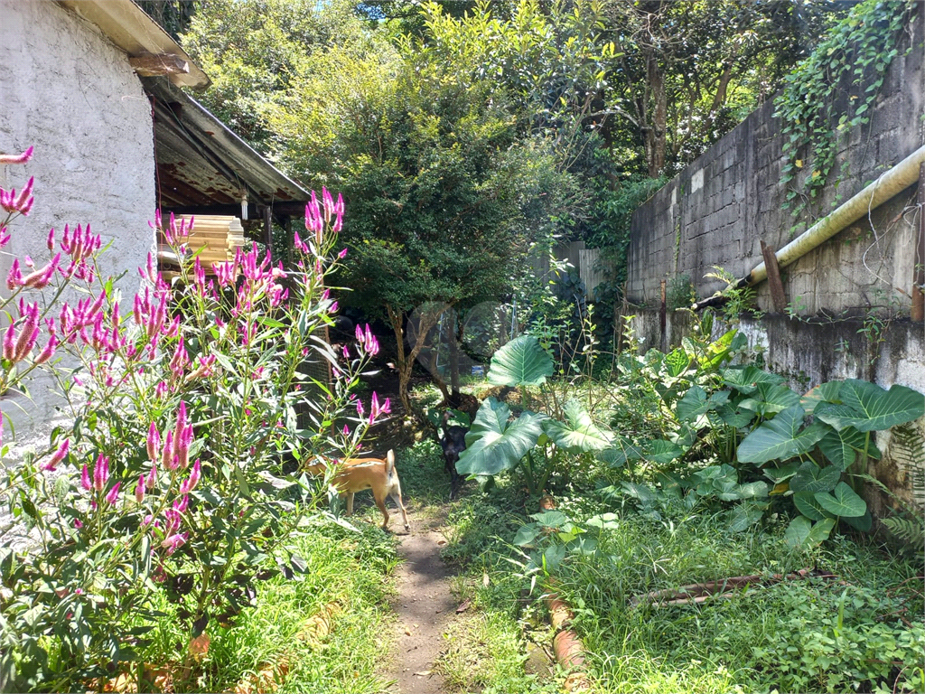 Venda Casa térrea São Paulo Horto Florestal REO799090 86