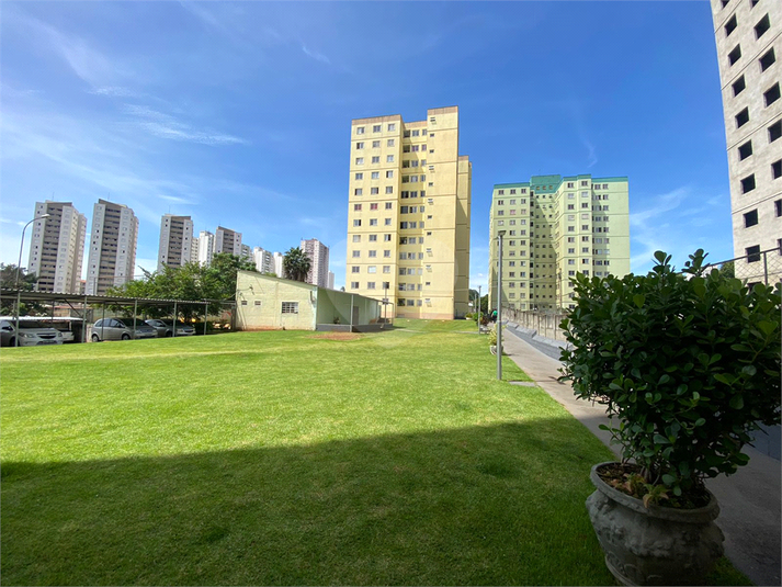 Venda Apartamento Goiânia Setor Negrão De Lima REO799357 14