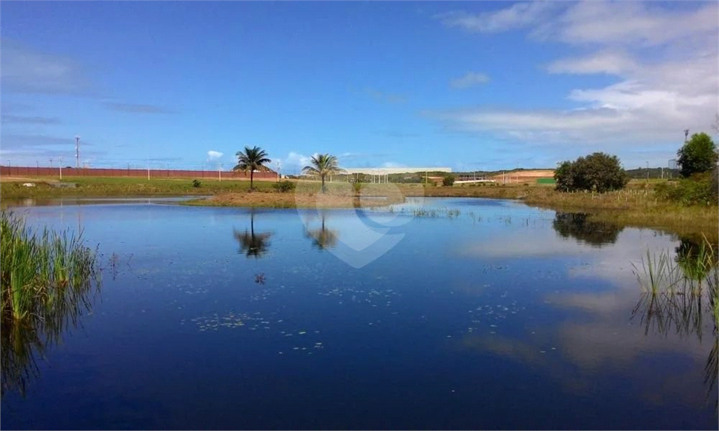 Venda Loteamento Vila Velha Ponta Da Fruta REO799592 7