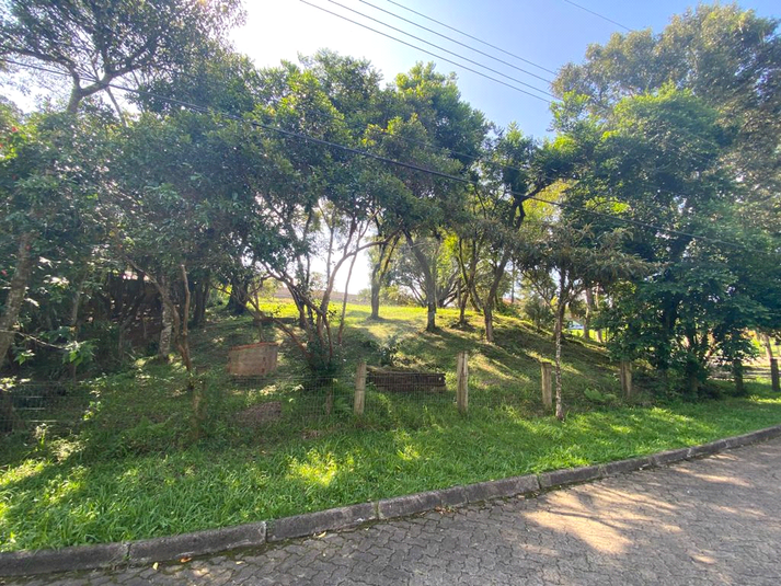 Venda Condomínio Gravataí Condomínio Campestre Paragem Dos Verdes Campos (barro Vermelho) REO799610 1