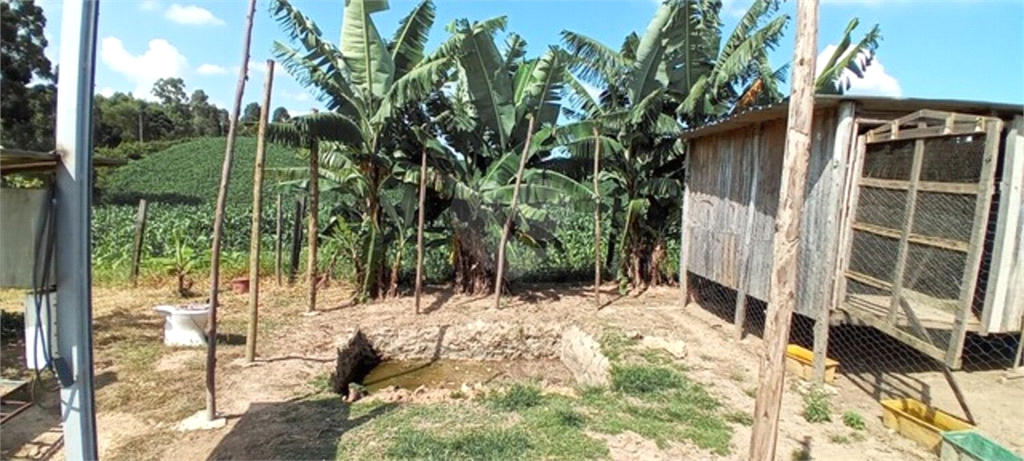 Venda Chácara Piedade Centro REO799900 10