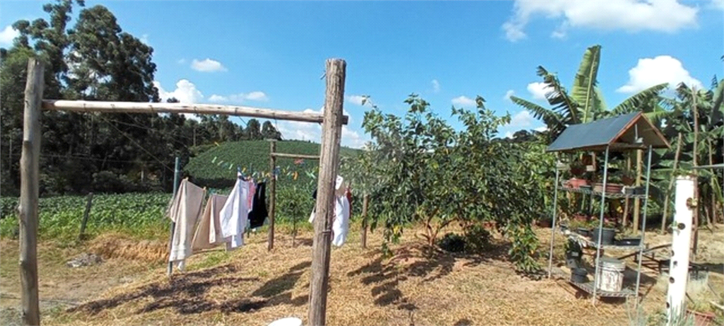 Venda Chácara Piedade Centro REO799900 12