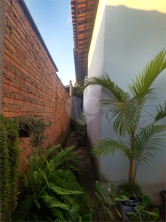 Venda Casa Lençóis Paulista Jardim Maria Luiza Ii REO800005 11