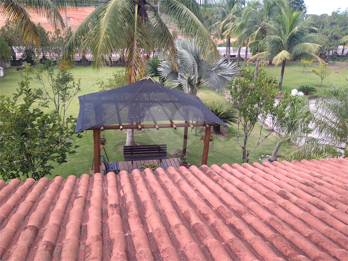 Foto REO800268
