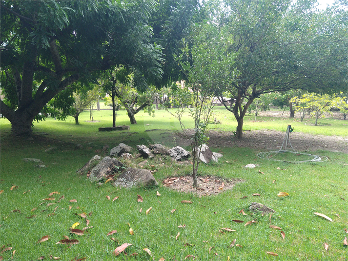 Foto REO800268