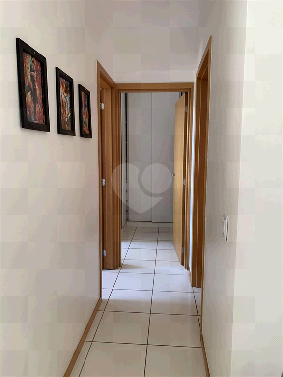 Venda Apartamento Brasília Guará Ii REO800280 6