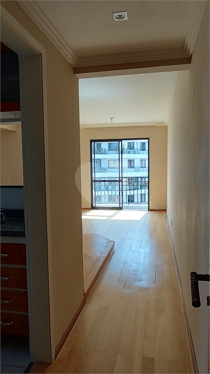 Venda Apartamento São Paulo Jardim Colombo REO800734 5