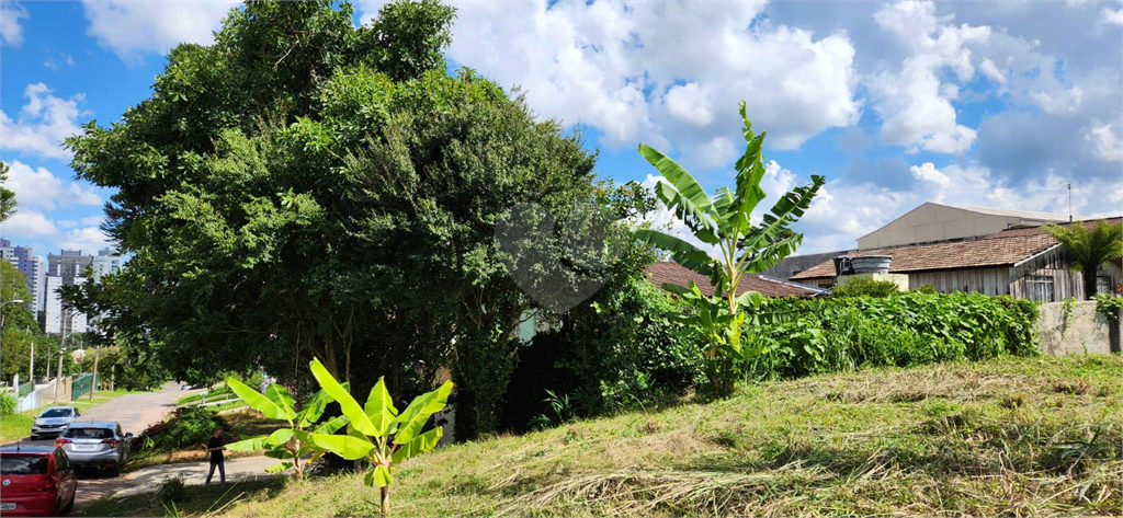 Venda Terreno Curitiba Mossunguê REO801597 10