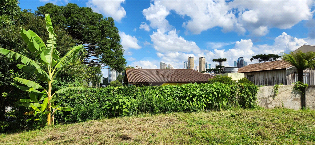 Venda Terreno Curitiba Mossunguê REO801597 9