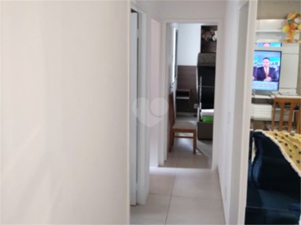 Venda Apartamento São Paulo Vila Ivone REO801602 6