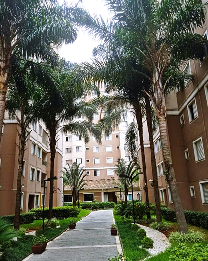 Venda Apartamento São Paulo Jardim Santa Terezinha (zona Leste) REO801609 1