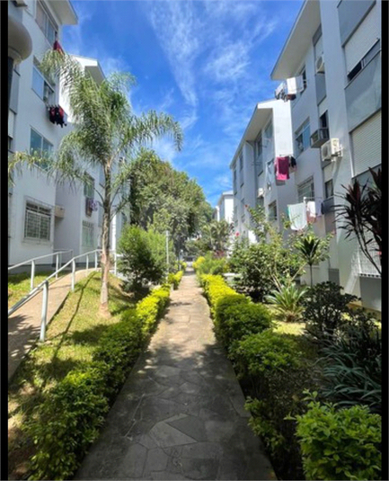 Venda Apartamento Gravataí Salgado Filho REO801926 15