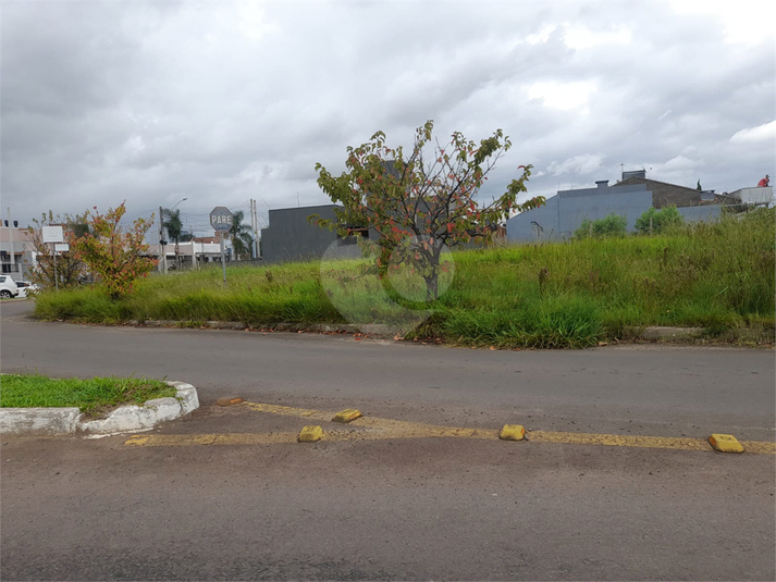 Venda Terreno Cachoeirinha Parque Da Matriz REO801984 1