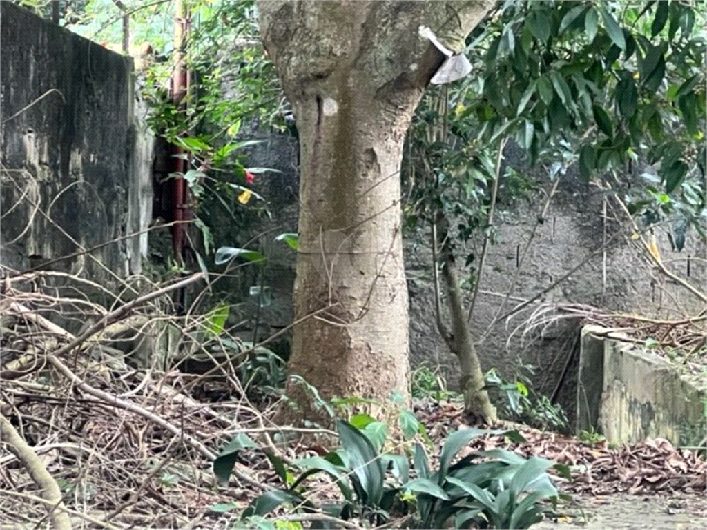 Venda Terreno São Paulo Horto Florestal REO801987 1