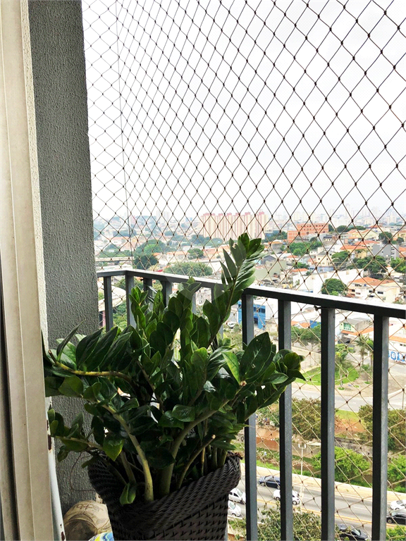 Venda Apartamento São Paulo Chácara Califórnia REO802260 1