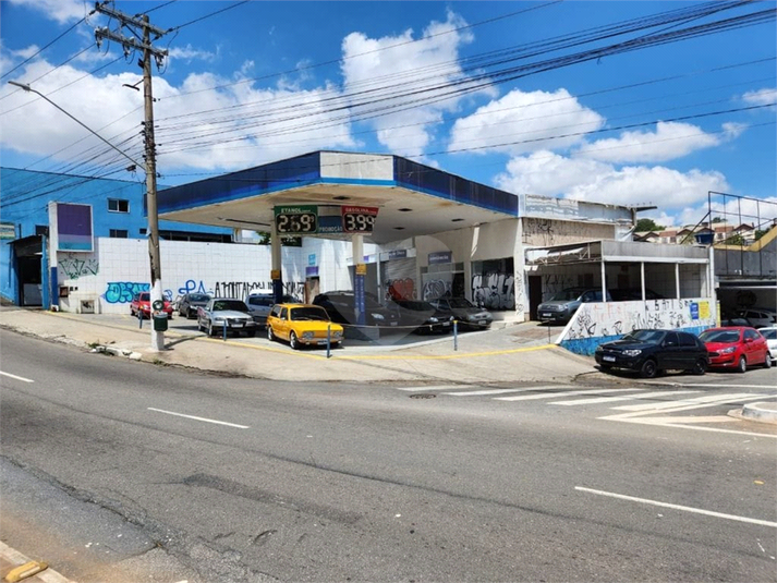 Foto REO802292