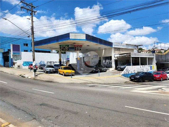 Foto REO802292