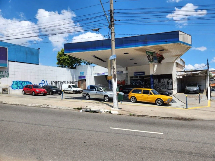 Foto REO802292