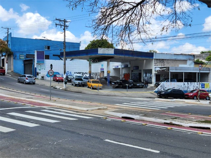 Foto REO802292