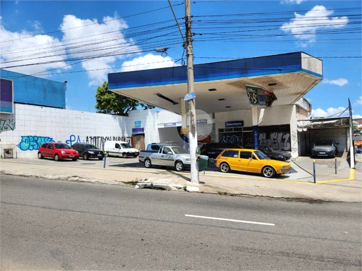 Foto REO802292