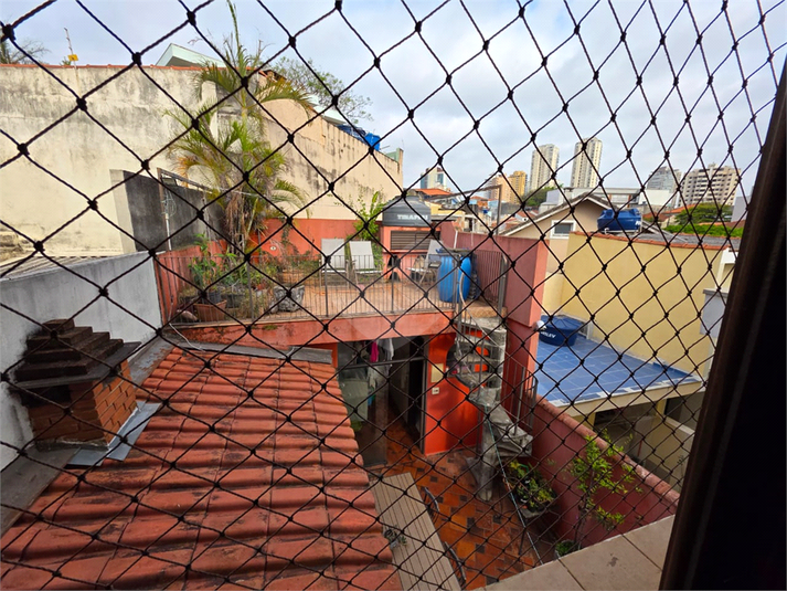 Foto REO802819