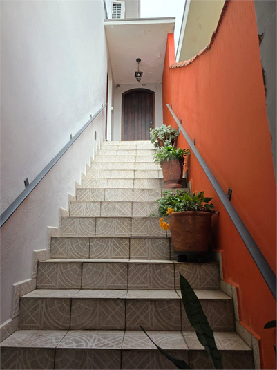Foto REO802819