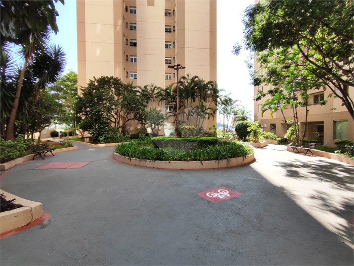 Foto REO802862
