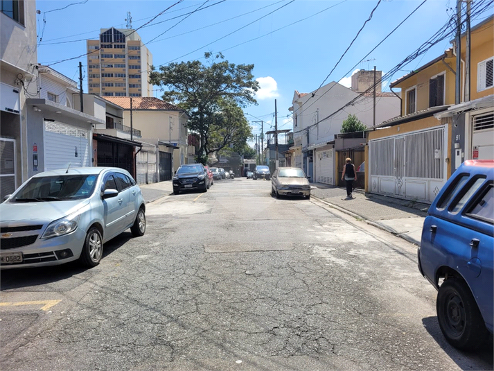 Foto REO803647