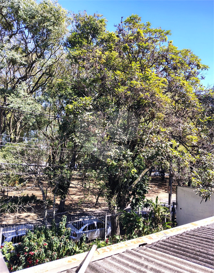 Foto REO803801