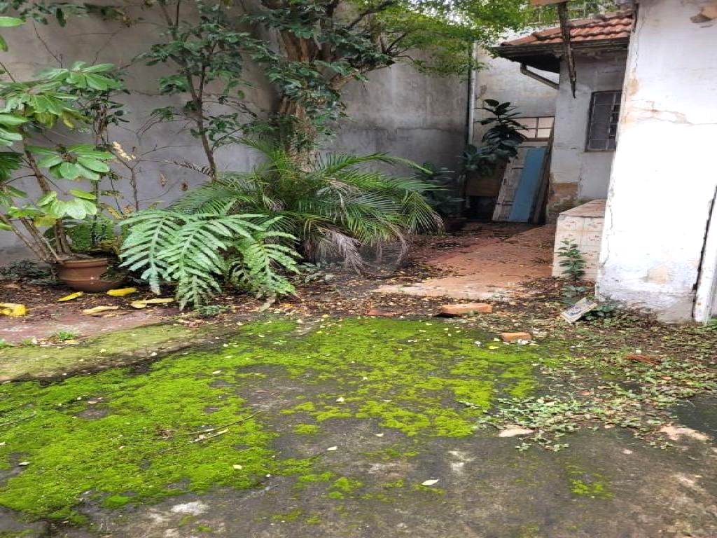 Venda Terreno São Paulo Ipiranga REO803981 7