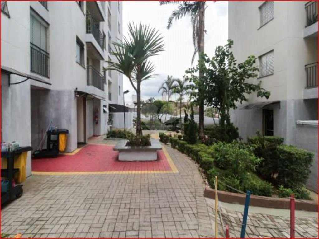 Venda Apartamento São Paulo São João Clímaco REO803989 19