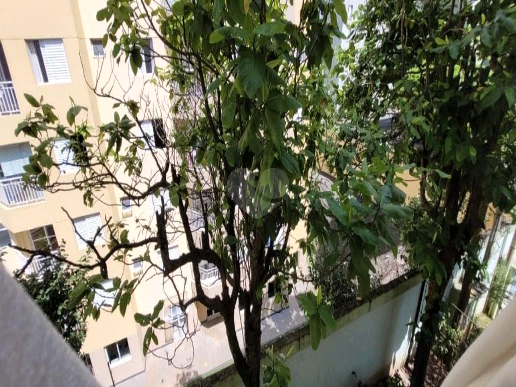 Venda Apartamento São Paulo Jardim Maria Estela REO804121 13