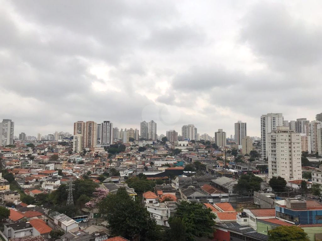 Aluguel Apartamento São Paulo Vila Nair REO804294 15