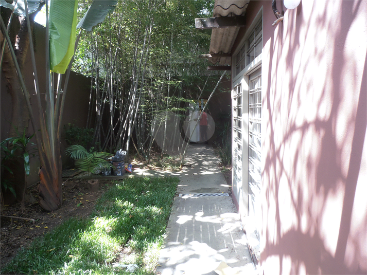Foto REO804700