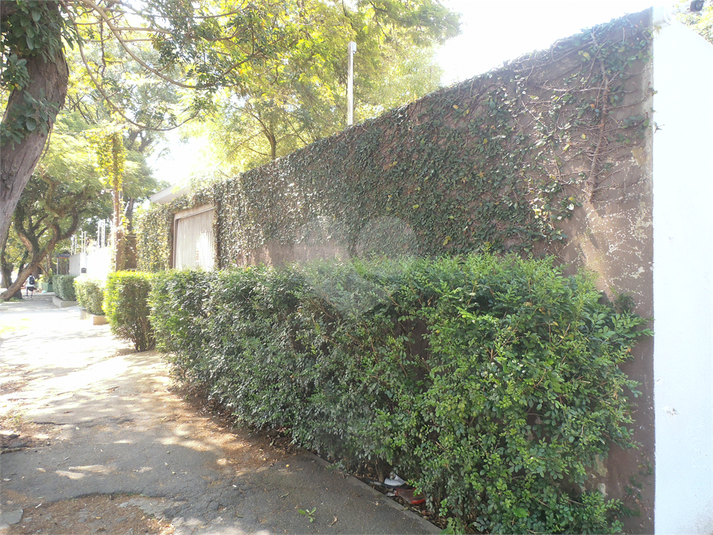 Foto REO804700