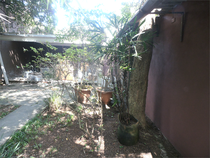 Foto REO804700