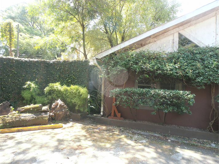 Foto REO804700