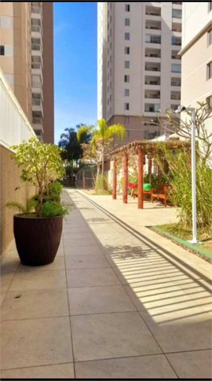 Venda Apartamento São José Dos Campos Conjunto Residencial Trinta E Um De Março REO804769 10