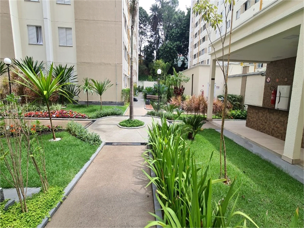 Venda Apartamento São Paulo Jardim Íris REO804918 1